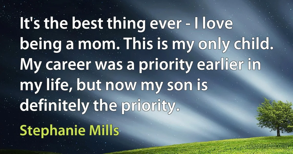 It's the best thing ever - I love being a mom. This is my only child. My career was a priority earlier in my life, but now my son is definitely the priority. (Stephanie Mills)