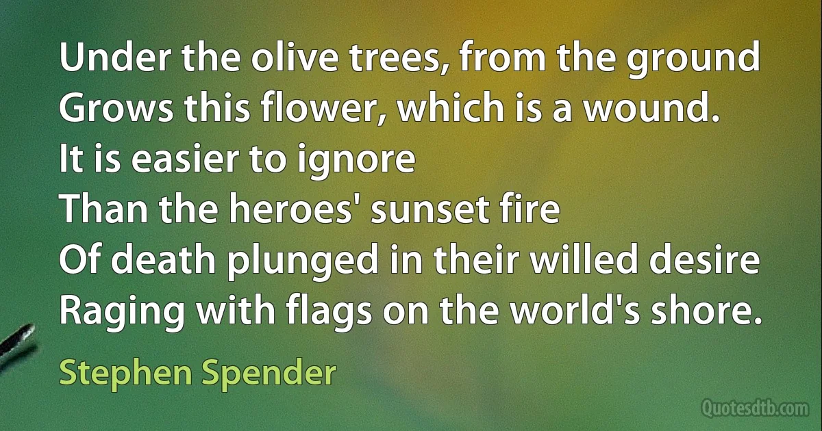 Under the olive trees, from the ground
Grows this flower, which is a wound.
It is easier to ignore
Than the heroes' sunset fire
Of death plunged in their willed desire
Raging with flags on the world's shore. (Stephen Spender)