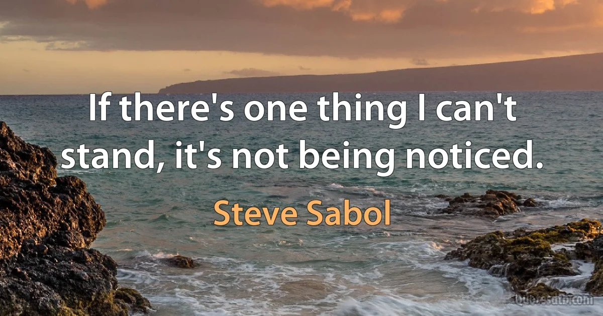 If there's one thing I can't stand, it's not being noticed. (Steve Sabol)