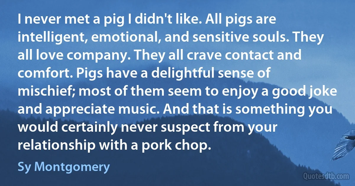 I never met a pig I didn't like. All pigs are intelligent, emotional, and sensitive souls. They all love company. They all crave contact and comfort. Pigs have a delightful sense of mischief; most of them seem to enjoy a good joke and appreciate music. And that is something you would certainly never suspect from your relationship with a pork chop. (Sy Montgomery)