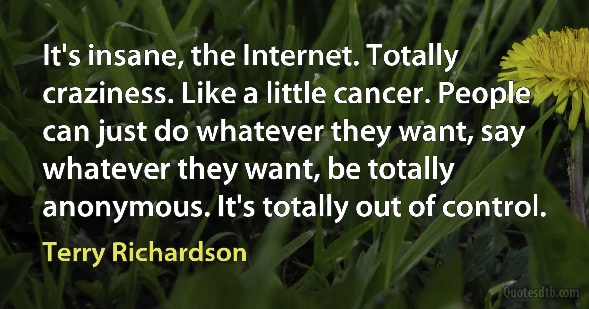 It's insane, the Internet. Totally craziness. Like a little cancer. People can just do whatever they want, say whatever they want, be totally anonymous. It's totally out of control. (Terry Richardson)