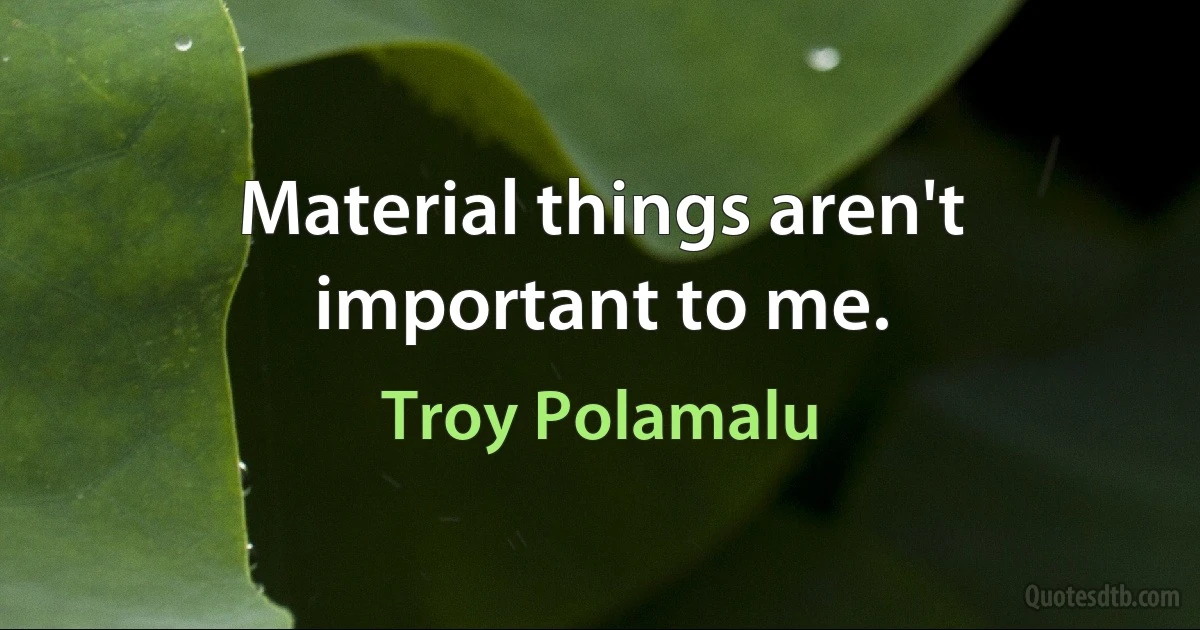 Material things aren't important to me. (Troy Polamalu)