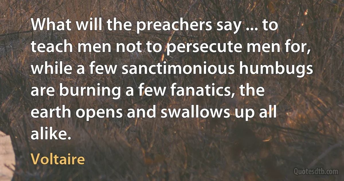 What will the preachers say ... to teach men not to persecute men for, while a few sanctimonious humbugs are burning a few fanatics, the earth opens and swallows up all alike. (Voltaire)