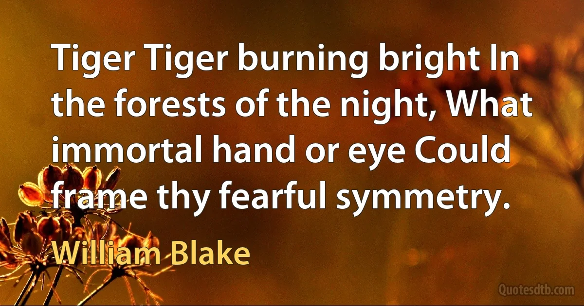 Tiger Tiger burning bright In the forests of the night, What immortal hand or eye Could frame thy fearful symmetry. (William Blake)