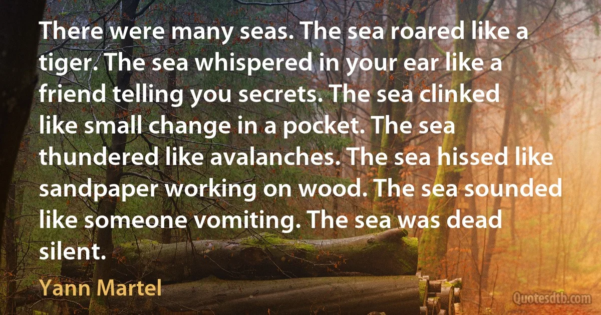 There were many seas. The sea roared like a tiger. The sea whispered in your ear like a friend telling you secrets. The sea clinked like small change in a pocket. The sea thundered like avalanches. The sea hissed like sandpaper working on wood. The sea sounded like someone vomiting. The sea was dead silent. (Yann Martel)