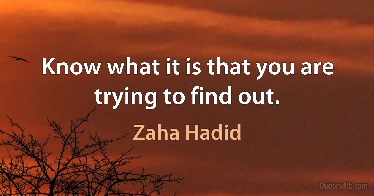 Know what it is that you are trying to find out. (Zaha Hadid)