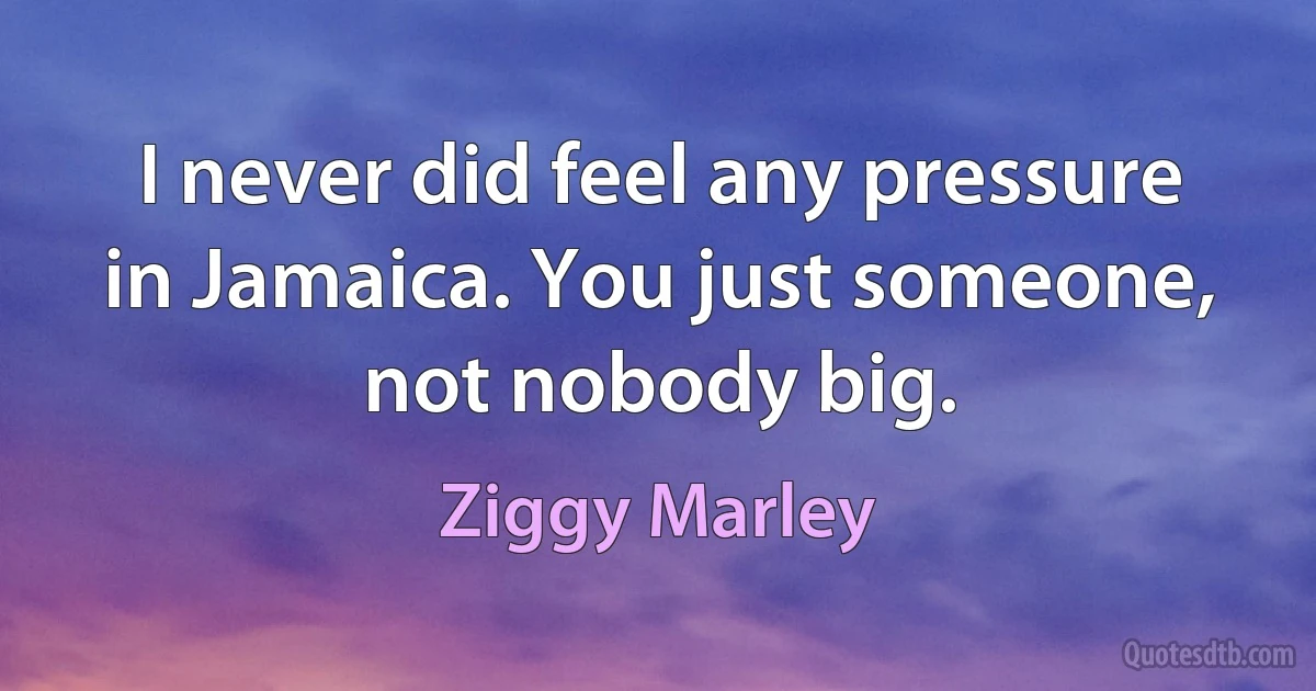 I never did feel any pressure in Jamaica. You just someone, not nobody big. (Ziggy Marley)