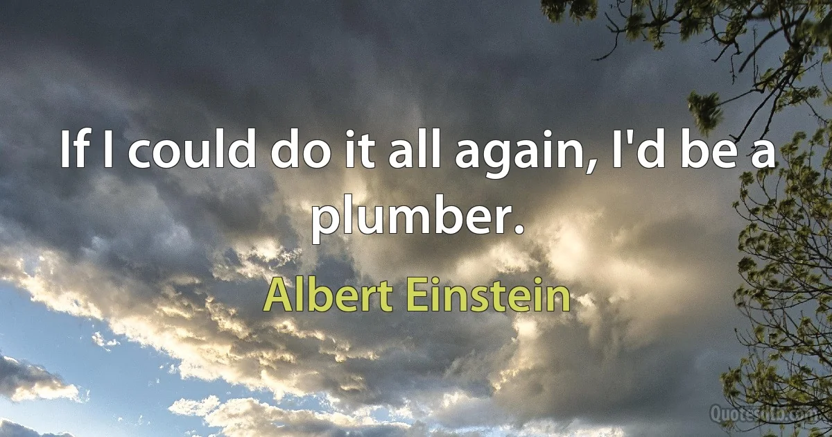 If I could do it all again, I'd be a plumber. (Albert Einstein)