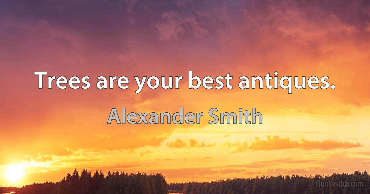 Trees are your best antiques. (Alexander Smith)