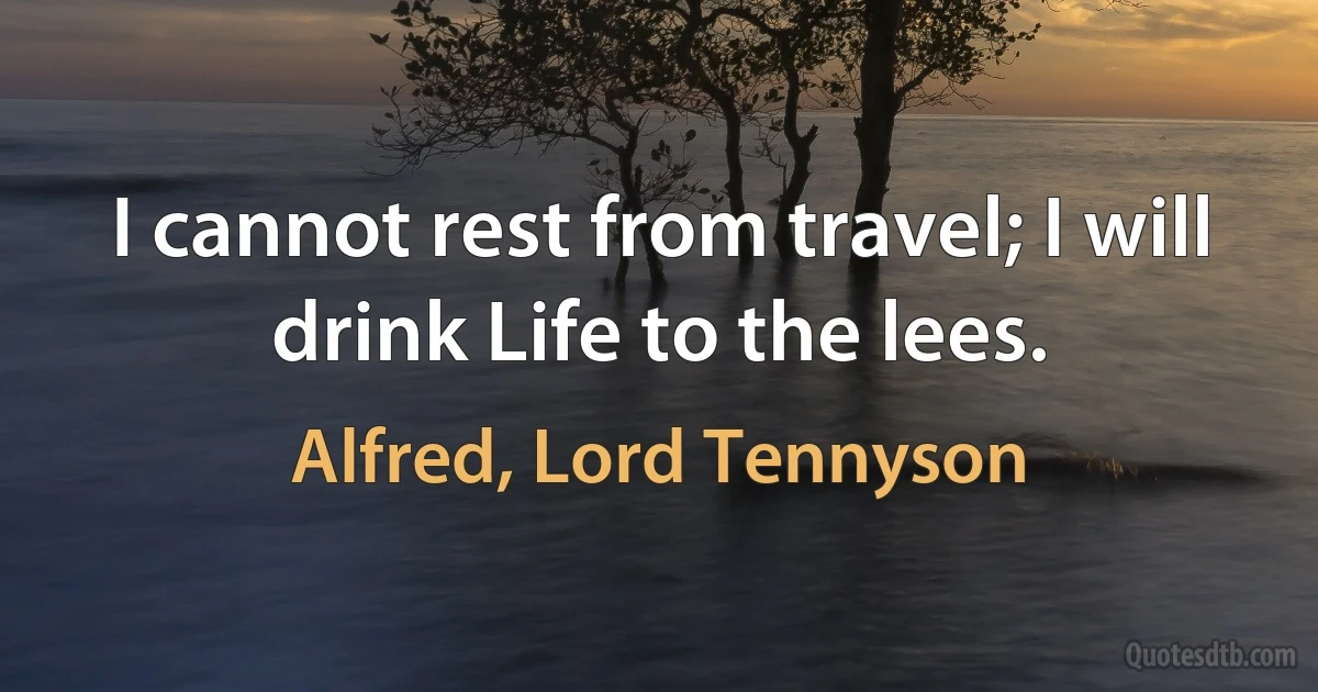 I cannot rest from travel; I will drink Life to the lees. (Alfred, Lord Tennyson)