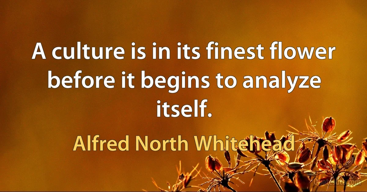 A culture is in its finest flower before it begins to analyze itself. (Alfred North Whitehead)