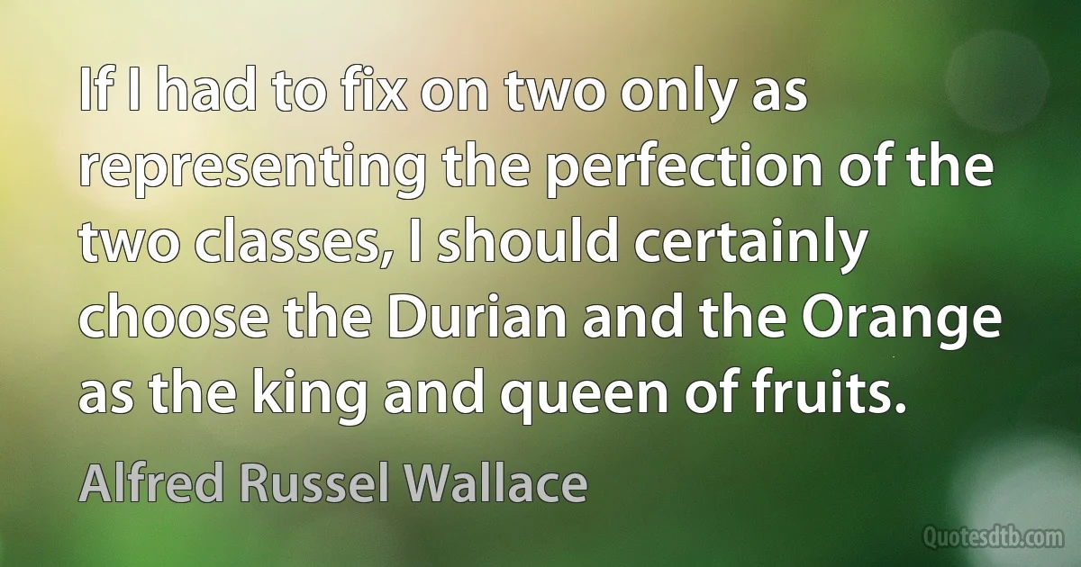 If I had to fix on two only as representing the perfection of the two classes, I should certainly choose the Durian and the Orange as the king and queen of fruits. (Alfred Russel Wallace)