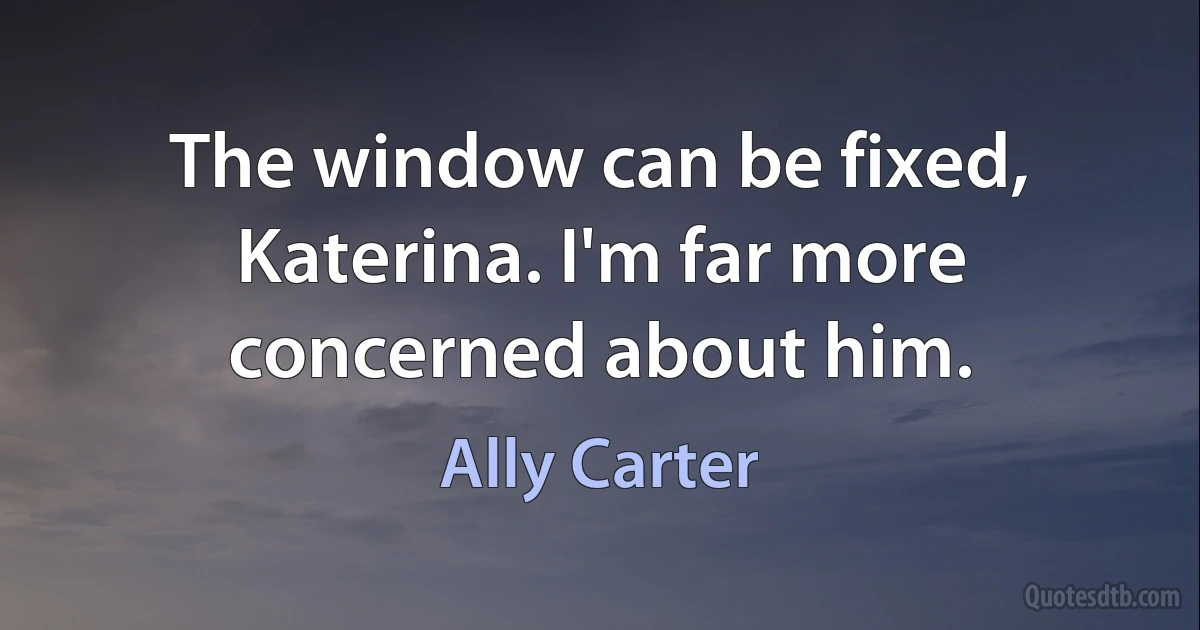 The window can be fixed, Katerina. I'm far more concerned about him. (Ally Carter)