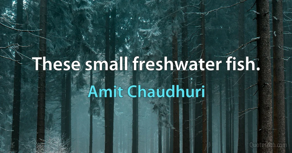 These small freshwater fish. (Amit Chaudhuri)