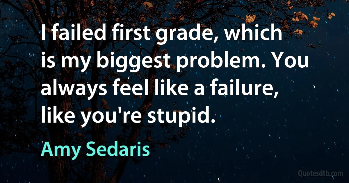 I failed first grade, which is my biggest problem. You always feel like a failure, like you're stupid. (Amy Sedaris)