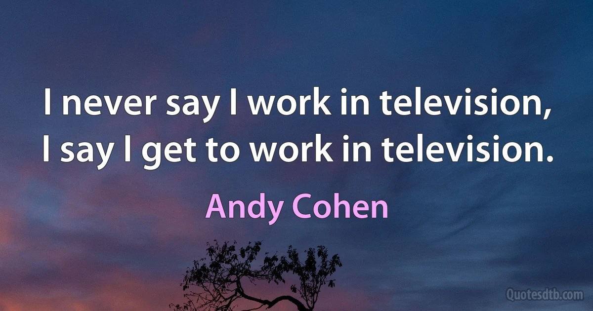 I never say I work in television, I say I get to work in television. (Andy Cohen)