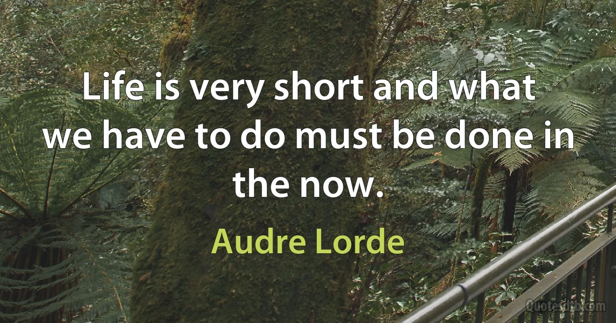 Life is very short and what we have to do must be done in the now. (Audre Lorde)