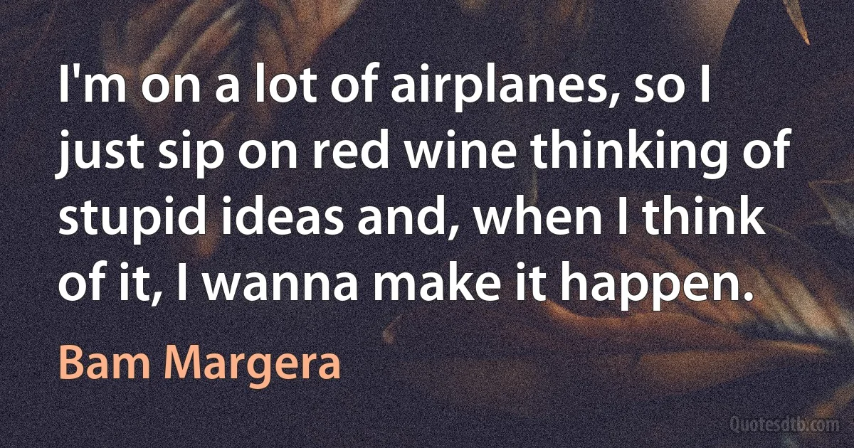 I'm on a lot of airplanes, so I just sip on red wine thinking of stupid ideas and, when I think of it, I wanna make it happen. (Bam Margera)