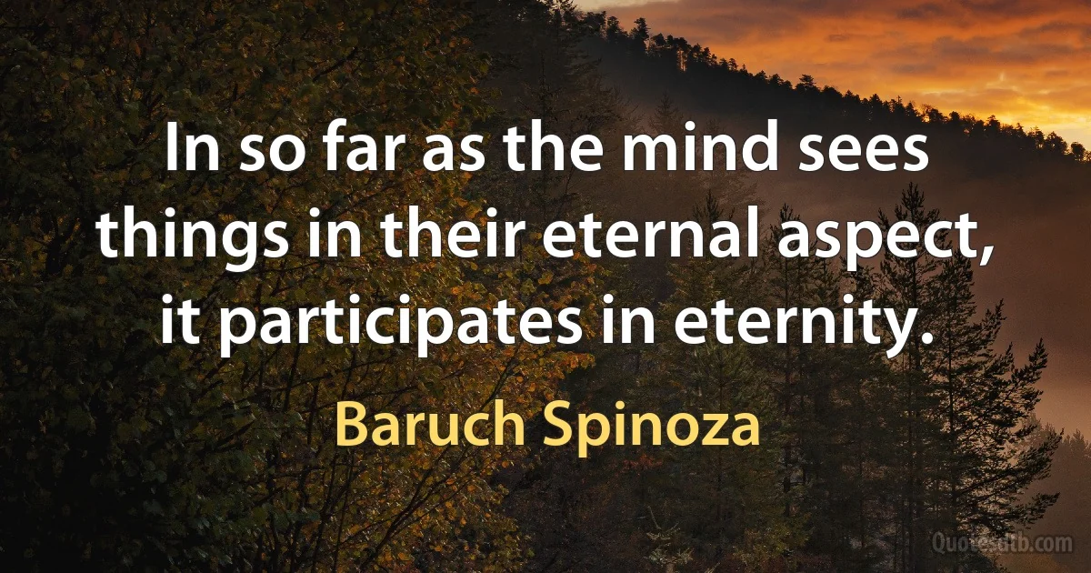 In so far as the mind sees things in their eternal aspect, it participates in eternity. (Baruch Spinoza)