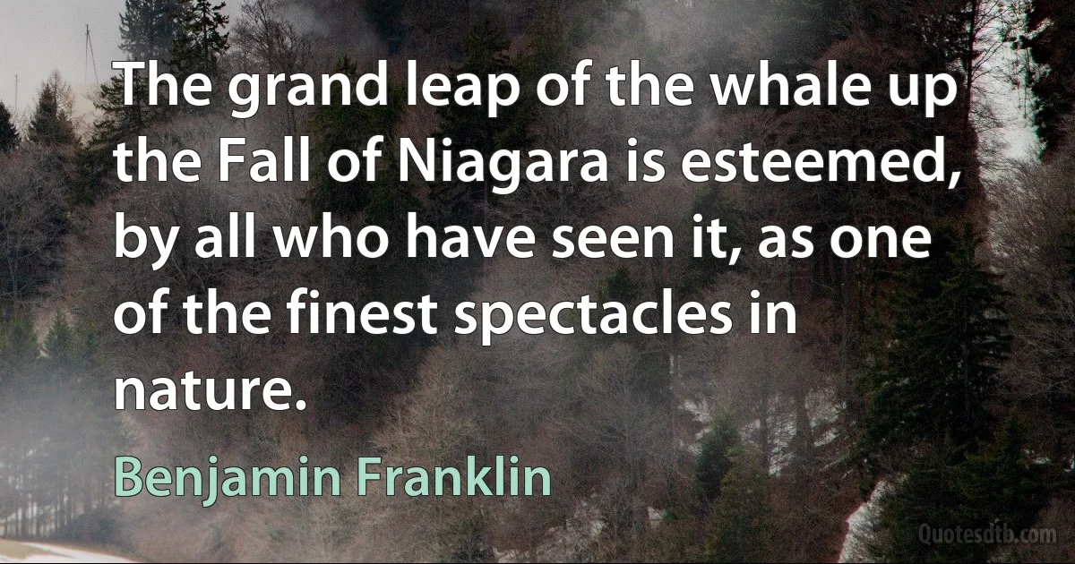 The grand leap of the whale up the Fall of Niagara is esteemed, by all who have seen it, as one of the finest spectacles in nature. (Benjamin Franklin)