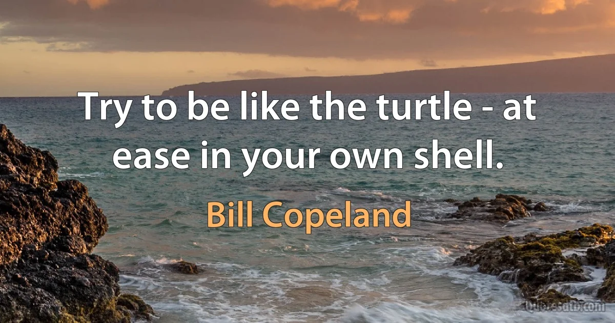 Try to be like the turtle - at ease in your own shell. (Bill Copeland)