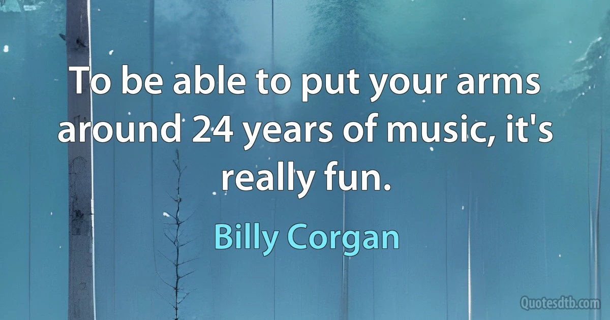 To be able to put your arms around 24 years of music, it's really fun. (Billy Corgan)