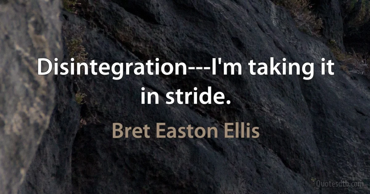 Disintegration---I'm taking it in stride. (Bret Easton Ellis)