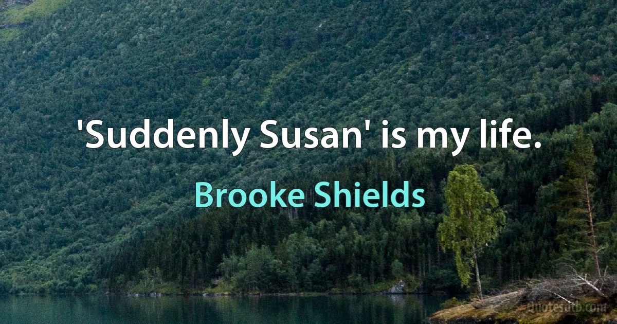 'Suddenly Susan' is my life. (Brooke Shields)