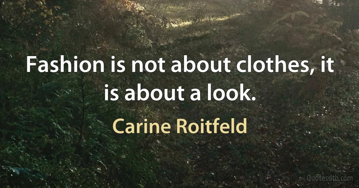 Fashion is not about clothes, it is about a look. (Carine Roitfeld)