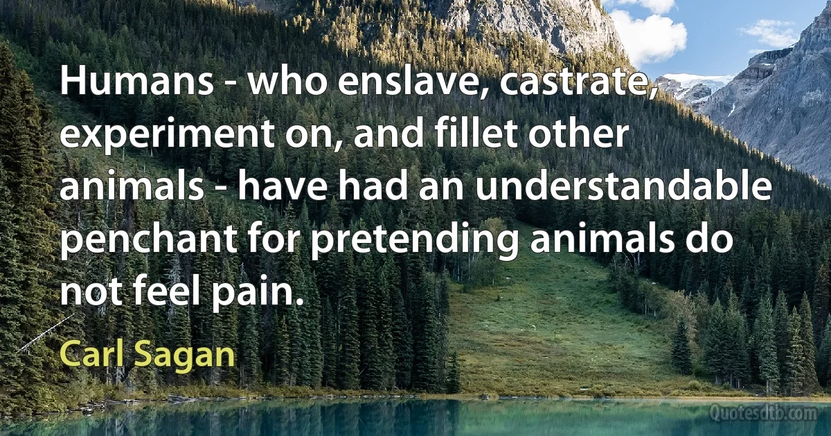 Humans - who enslave, castrate, experiment on, and fillet other animals - have had an understandable penchant for pretending animals do not feel pain. (Carl Sagan)