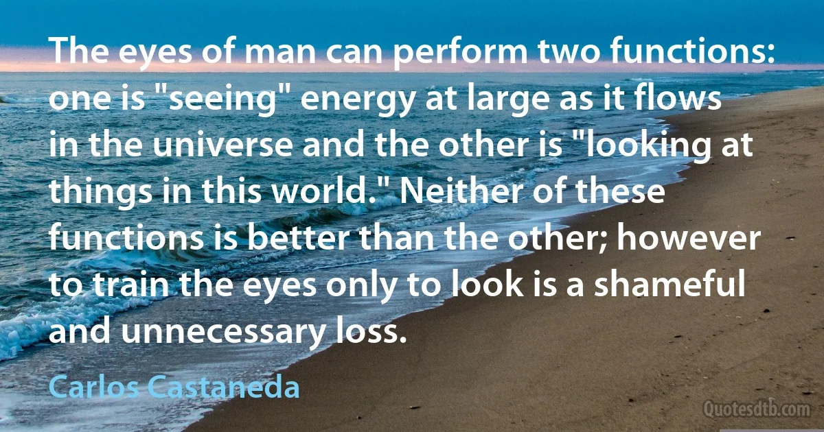 The eyes of man can perform two functions: one is "seeing" energy at large as it flows in the universe and the other is "looking at things in this world." Neither of these functions is better than the other; however to train the eyes only to look is a shameful and unnecessary loss. (Carlos Castaneda)