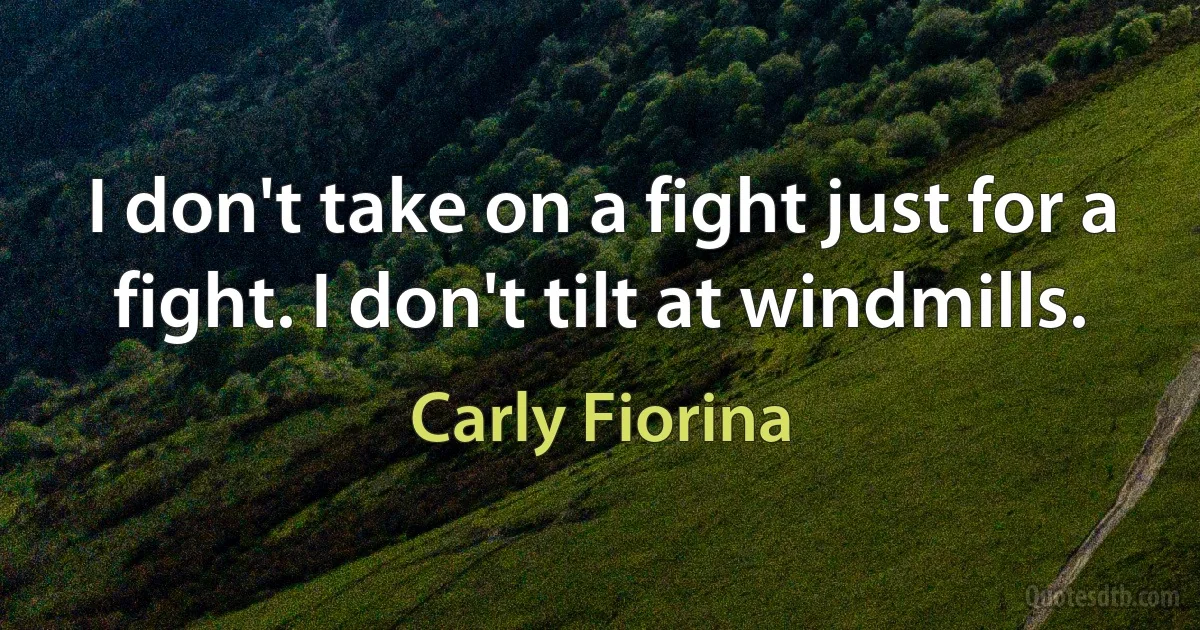 I don't take on a fight just for a fight. I don't tilt at windmills. (Carly Fiorina)