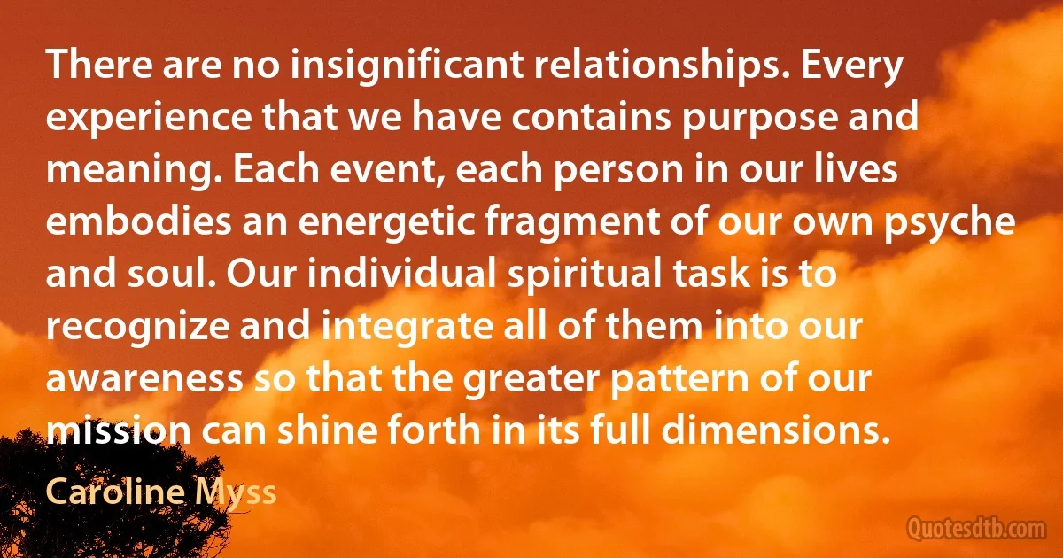 There are no insignificant relationships. Every experience that we have contains purpose and meaning. Each event, each person in our lives embodies an energetic fragment of our own psyche and soul. Our individual spiritual task is to recognize and integrate all of them into our awareness so that the greater pattern of our mission can shine forth in its full dimensions. (Caroline Myss)