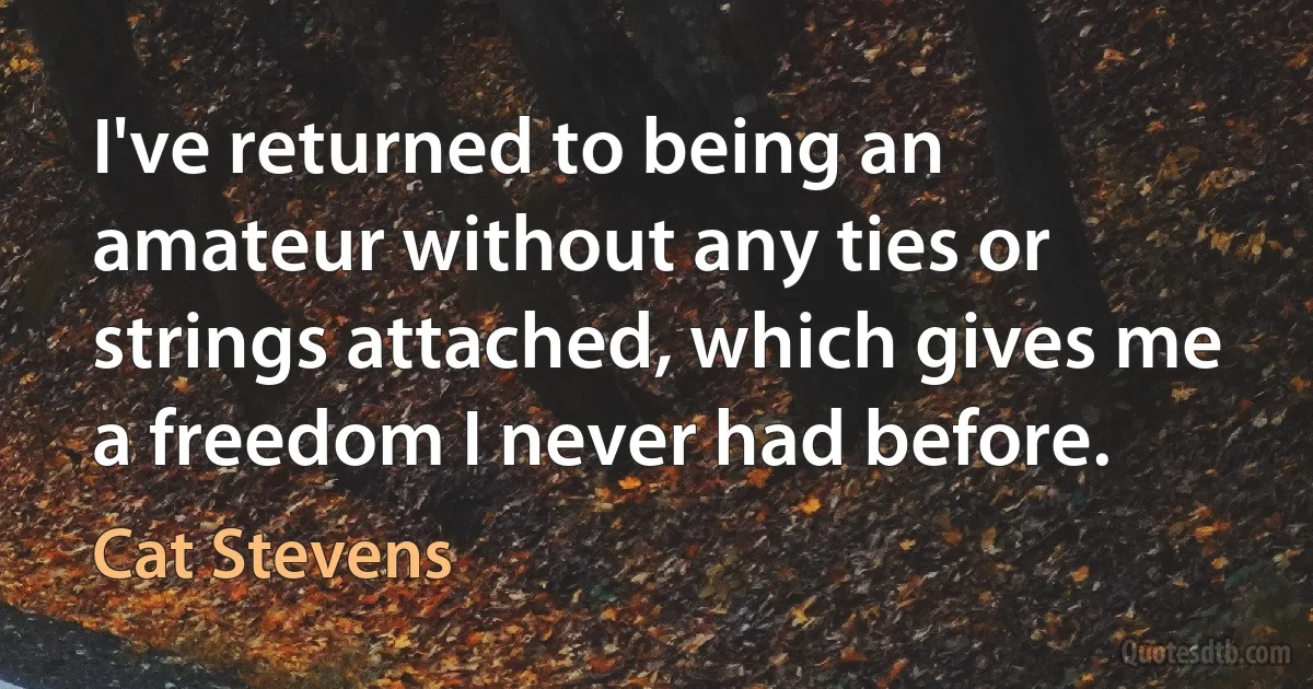 I've returned to being an amateur without any ties or strings attached, which gives me a freedom I never had before. (Cat Stevens)