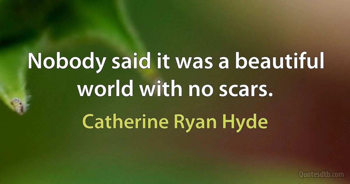 Nobody said it was a beautiful world with no scars. (Catherine Ryan Hyde)