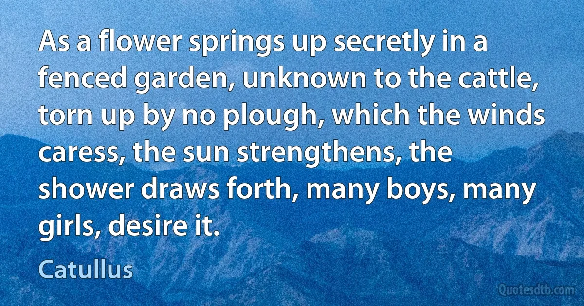 As a flower springs up secretly in a fenced garden, unknown to the cattle, torn up by no plough, which the winds caress, the sun strengthens, the shower draws forth, many boys, many girls, desire it. (Catullus)