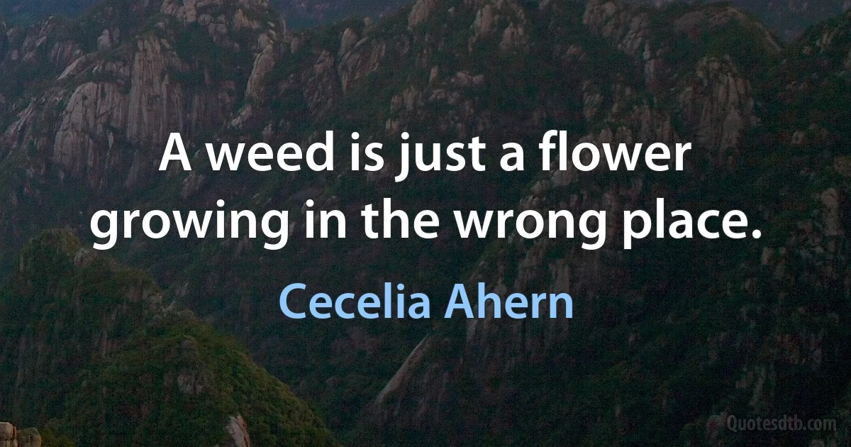 A weed is just a flower growing in the wrong place. (Cecelia Ahern)