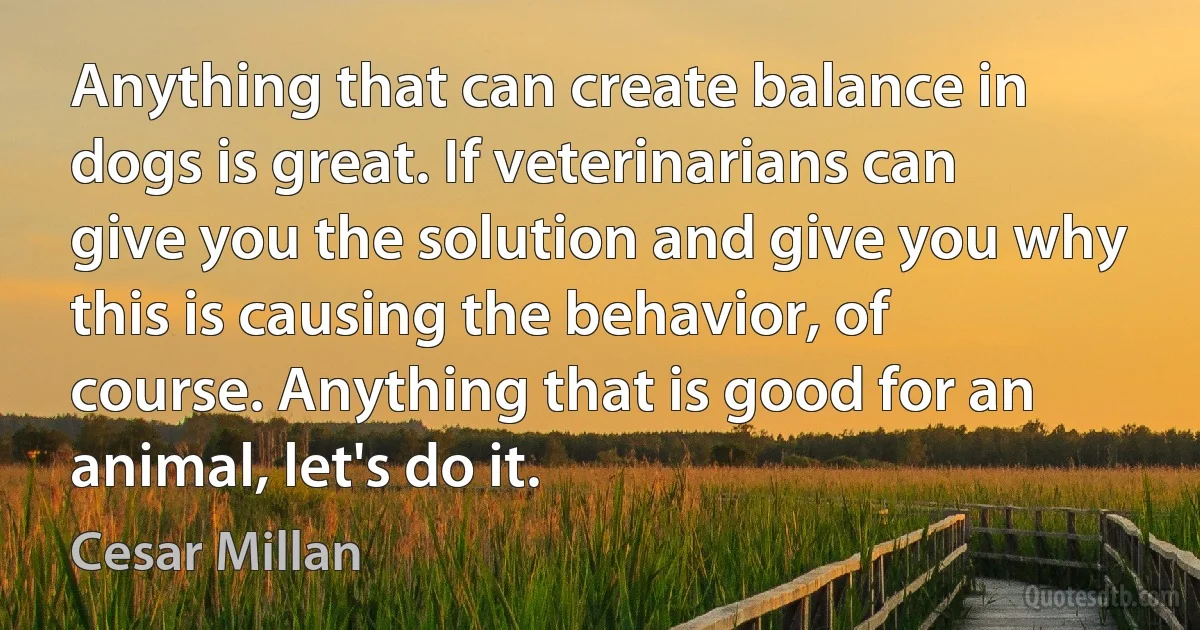 Anything that can create balance in dogs is great. If veterinarians can give you the solution and give you why this is causing the behavior, of course. Anything that is good for an animal, let's do it. (Cesar Millan)