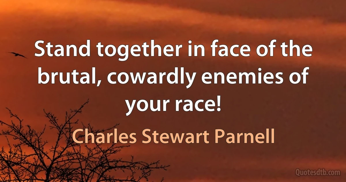 Stand together in face of the brutal, cowardly enemies of your race! (Charles Stewart Parnell)