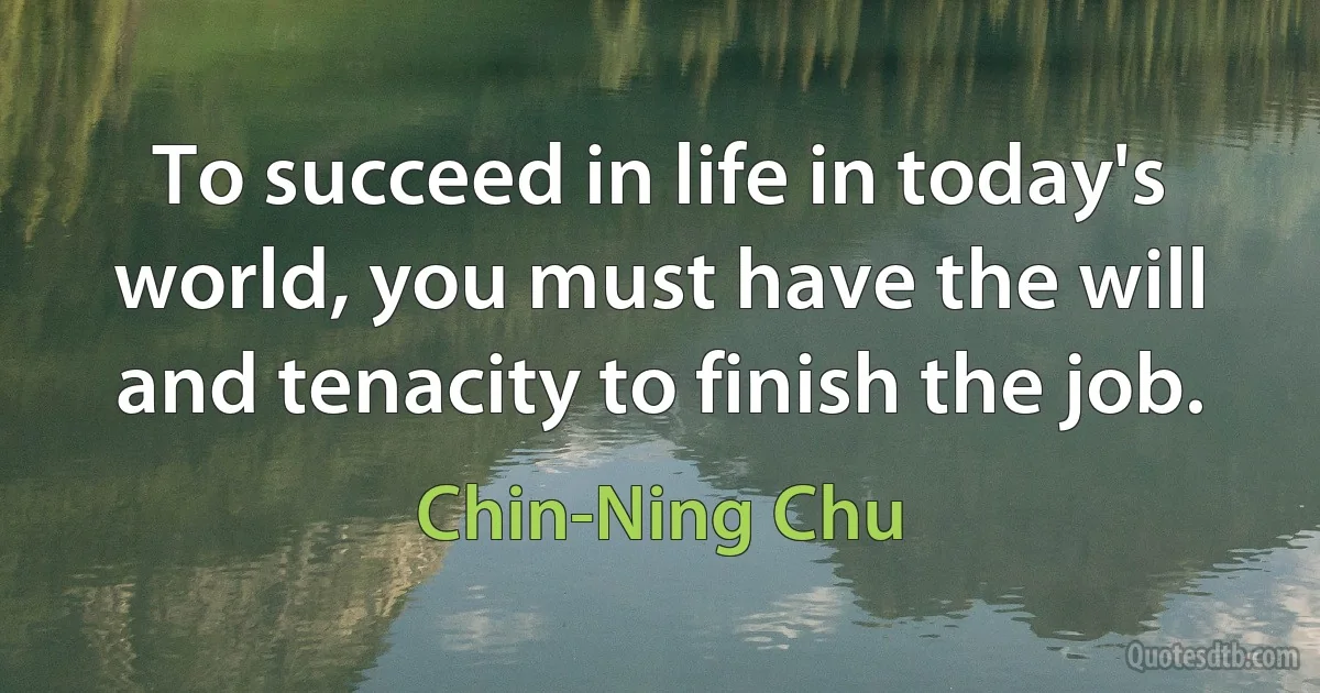 To succeed in life in today's world, you must have the will and tenacity to finish the job. (Chin-Ning Chu)