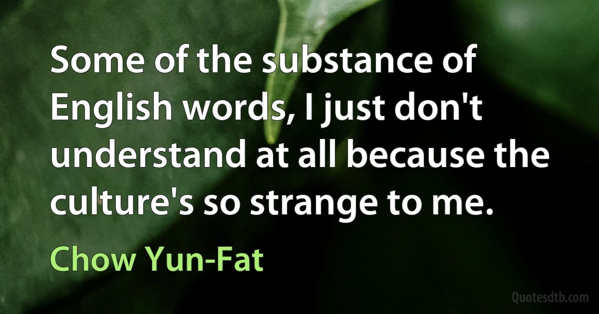 Some of the substance of English words, I just don't understand at all because the culture's so strange to me. (Chow Yun-Fat)