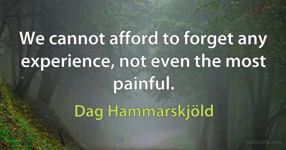 We cannot afford to forget any experience, not even the most painful. (Dag Hammarskjöld)