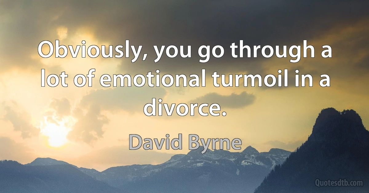 Obviously, you go through a lot of emotional turmoil in a divorce. (David Byrne)