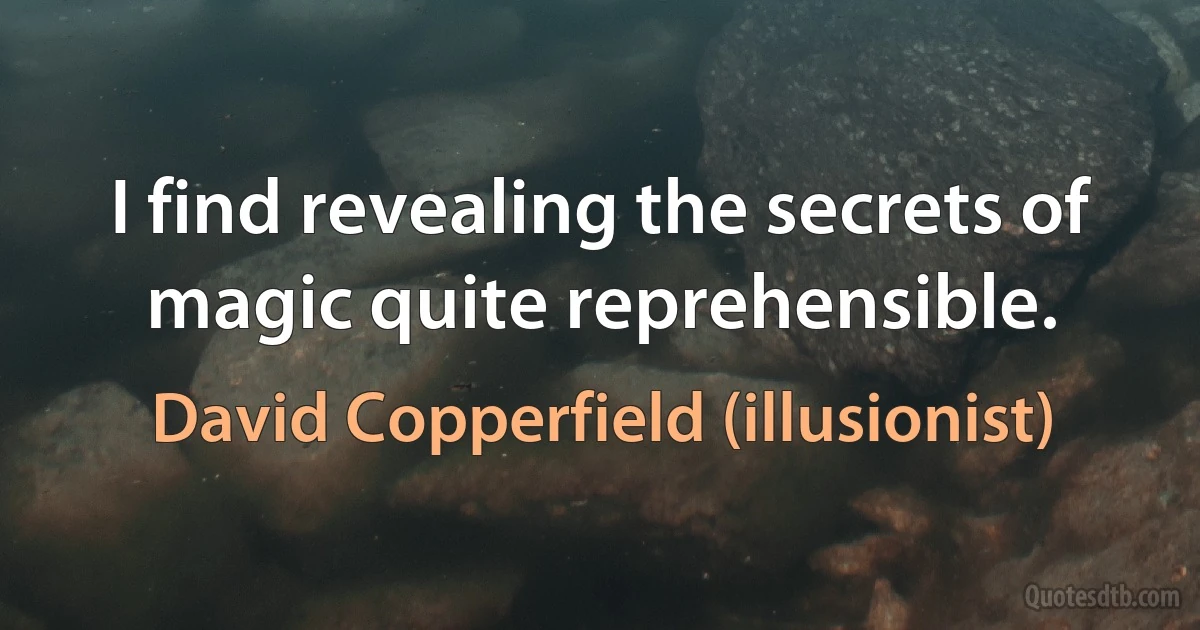 I find revealing the secrets of magic quite reprehensible. (David Copperfield (illusionist))