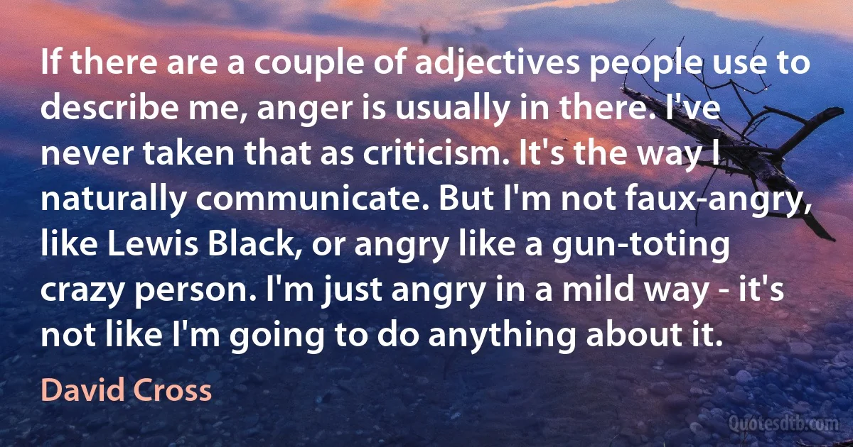 If there are a couple of adjectives people use to describe me, anger is usually in there. I've never taken that as criticism. It's the way I naturally communicate. But I'm not faux-angry, like Lewis Black, or angry like a gun-toting crazy person. I'm just angry in a mild way - it's not like I'm going to do anything about it. (David Cross)