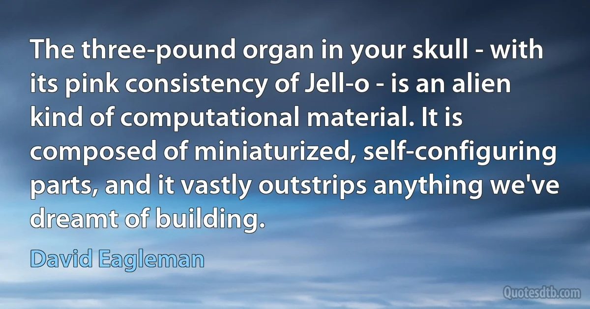 The three-pound organ in your skull - with its pink consistency of Jell-o - is an alien kind of computational material. It is composed of miniaturized, self-configuring parts, and it vastly outstrips anything we've dreamt of building. (David Eagleman)