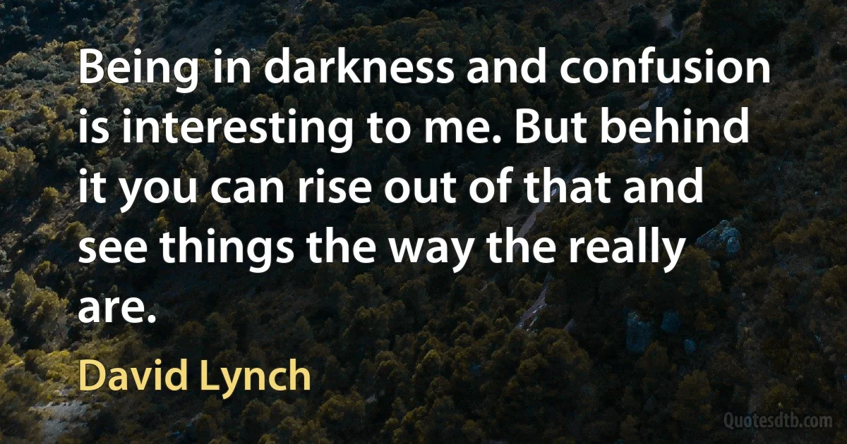 Being in darkness and confusion is interesting to me. But behind it you can rise out of that and see things the way the really are. (David Lynch)