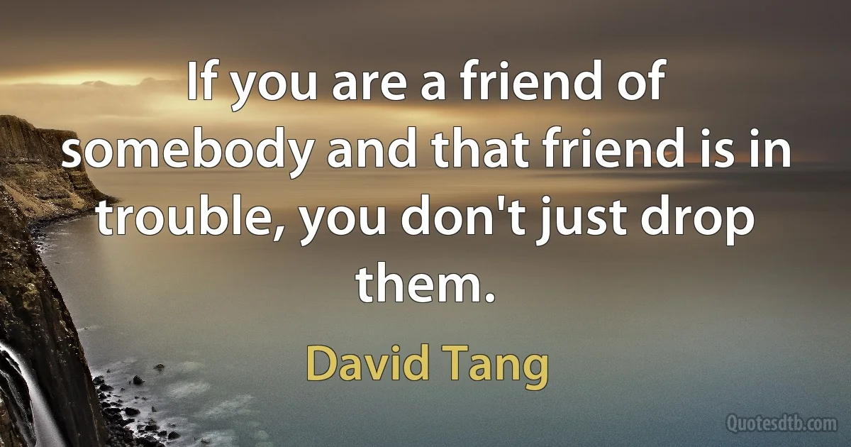 If you are a friend of somebody and that friend is in trouble, you don't just drop them. (David Tang)