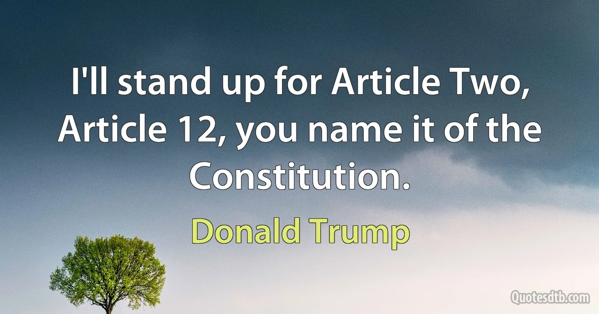 I'll stand up for Article Two, Article 12, you name it of the Constitution. (Donald Trump)