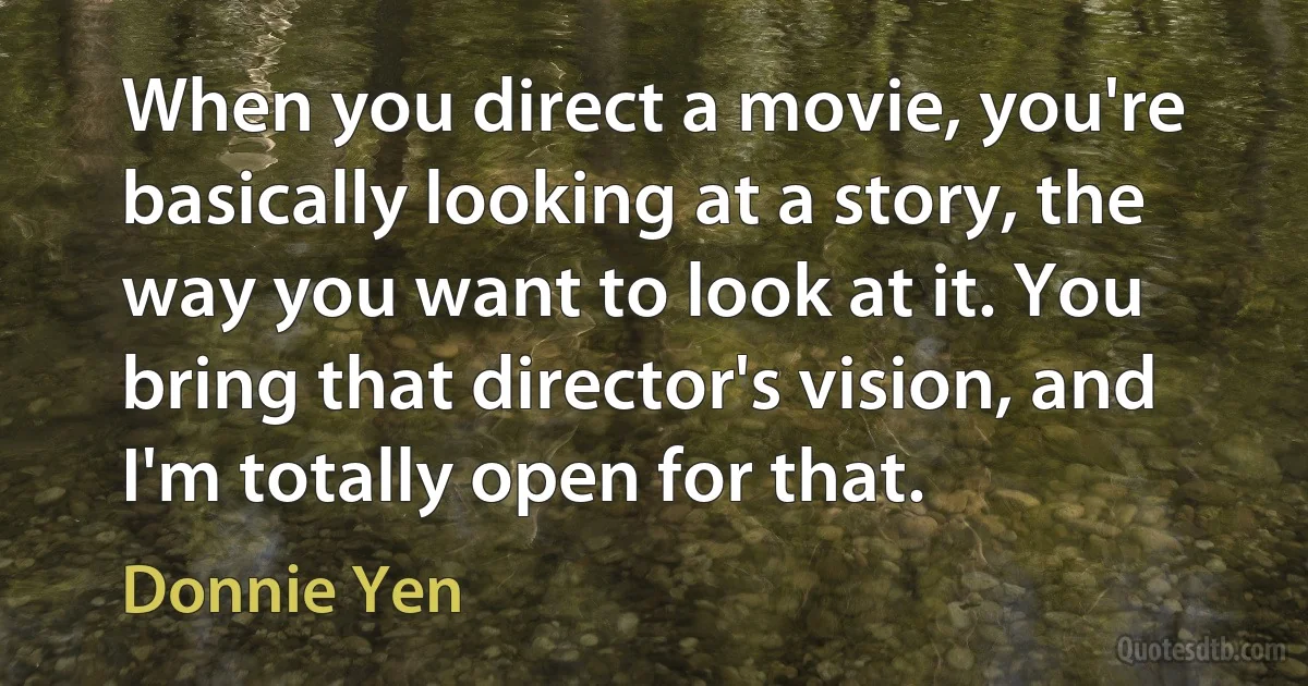 When you direct a movie, you're basically looking at a story, the way you want to look at it. You bring that director's vision, and I'm totally open for that. (Donnie Yen)